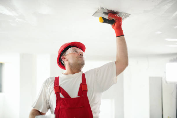 Best Airborne Mold Testing  in Highland Lakes, NJ