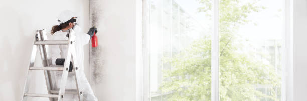 Best Air Quality Testing for Mold Spores  in Highland Lakes, NJ